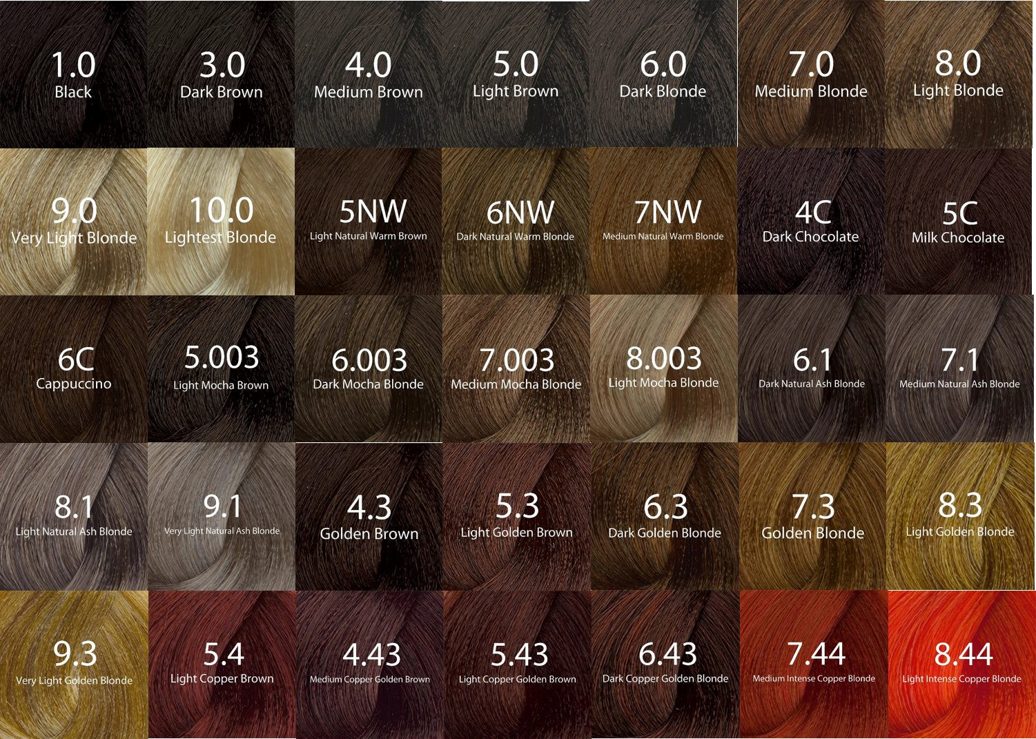 Eazicolor Shade Card Guide – Eazicolor Professional