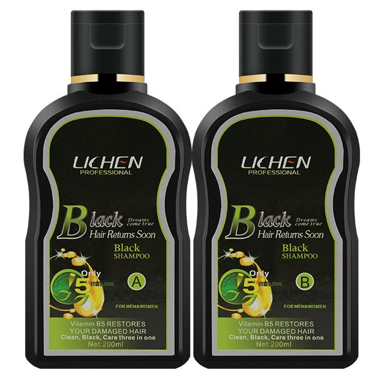 Lichen Black Hair Color Shampoo 400ml (Pack of 2)